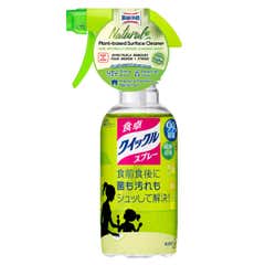 MAGICLEAN SURFACE CLEANER 300ML