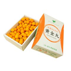 <Japan Premium>Kumamoto Kinkan (Kumquat) 3L