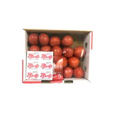 Japanese Tomatoes  Amera