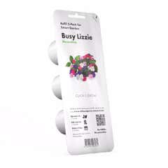 Click & Grow Busy Lizzie (3-pack)