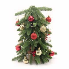 WSA MAA JR  Minni Christmas Tree Set